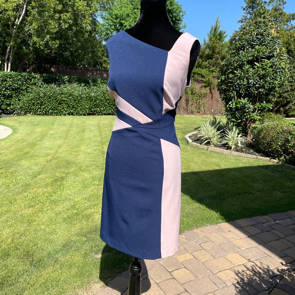 Adrianna Papell-  Colorblock Sheath Dress (Size 14W) in Navy & Blush)